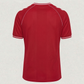Denmark 2026 Home Jersey
