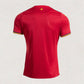 Romania 2026 Away Jersey