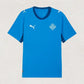Iceland 2026 Home Jersey