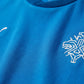 Iceland 2026 Home Jersey