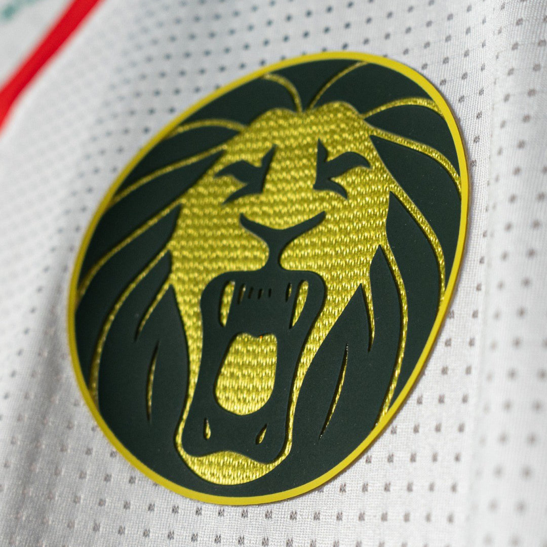Cameroon 2025 Third Jersey