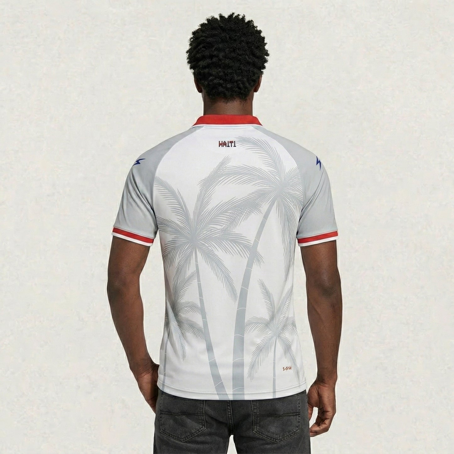 Haiti 2026 Away Jersey