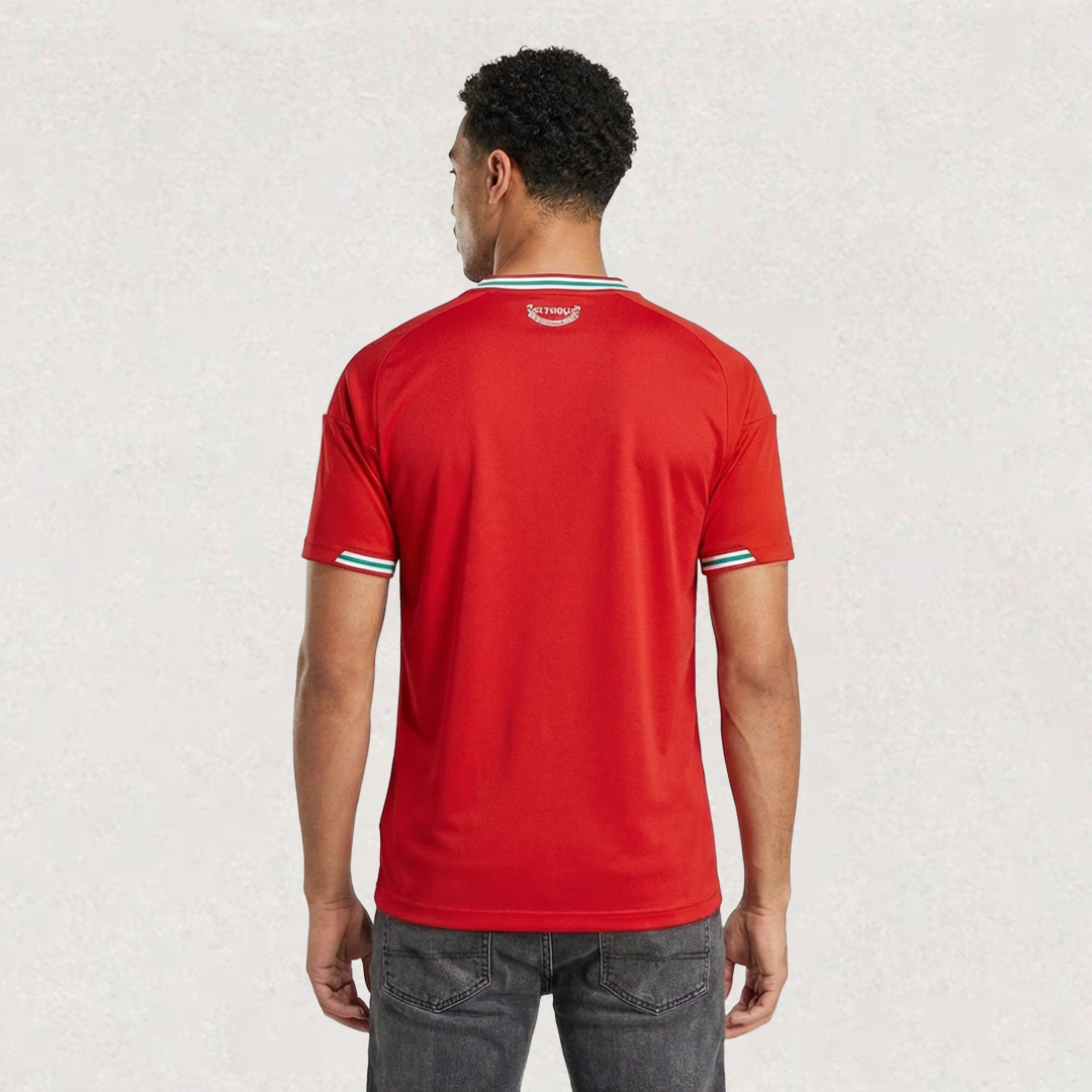 Wales 2026 Home Jersey