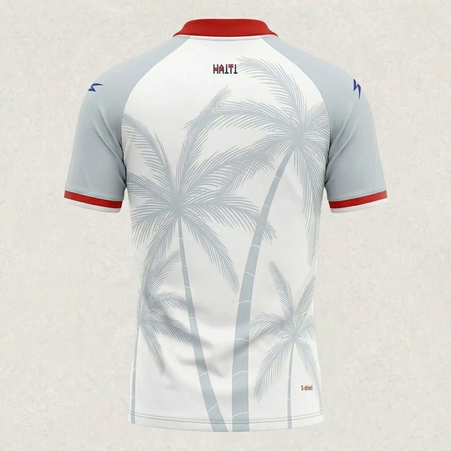 Haiti 2026 Away Jersey